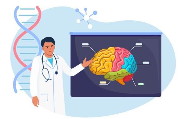 eje neurociencia neurosicologia
