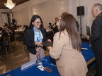 P1630528 copia