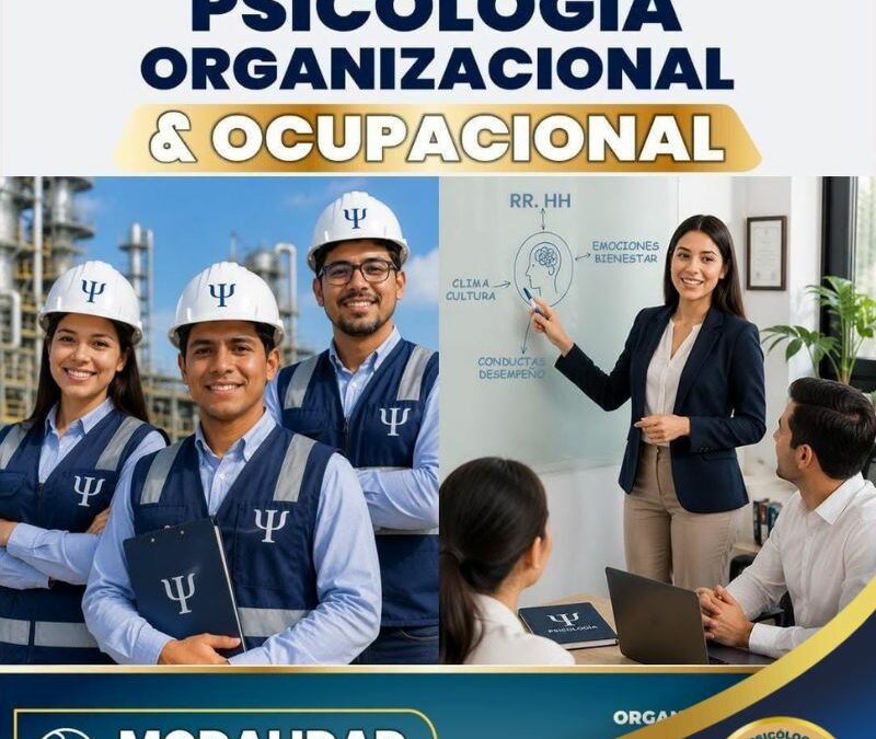 II SEMINARIO DE PSICOLOGÍA – ORGANIZACIONAL Y OCUPACIONAL